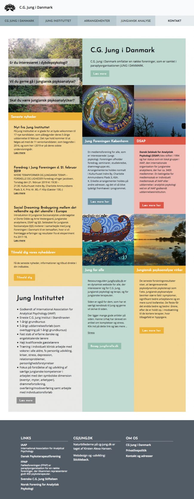 cg-jung.dk - screenshot