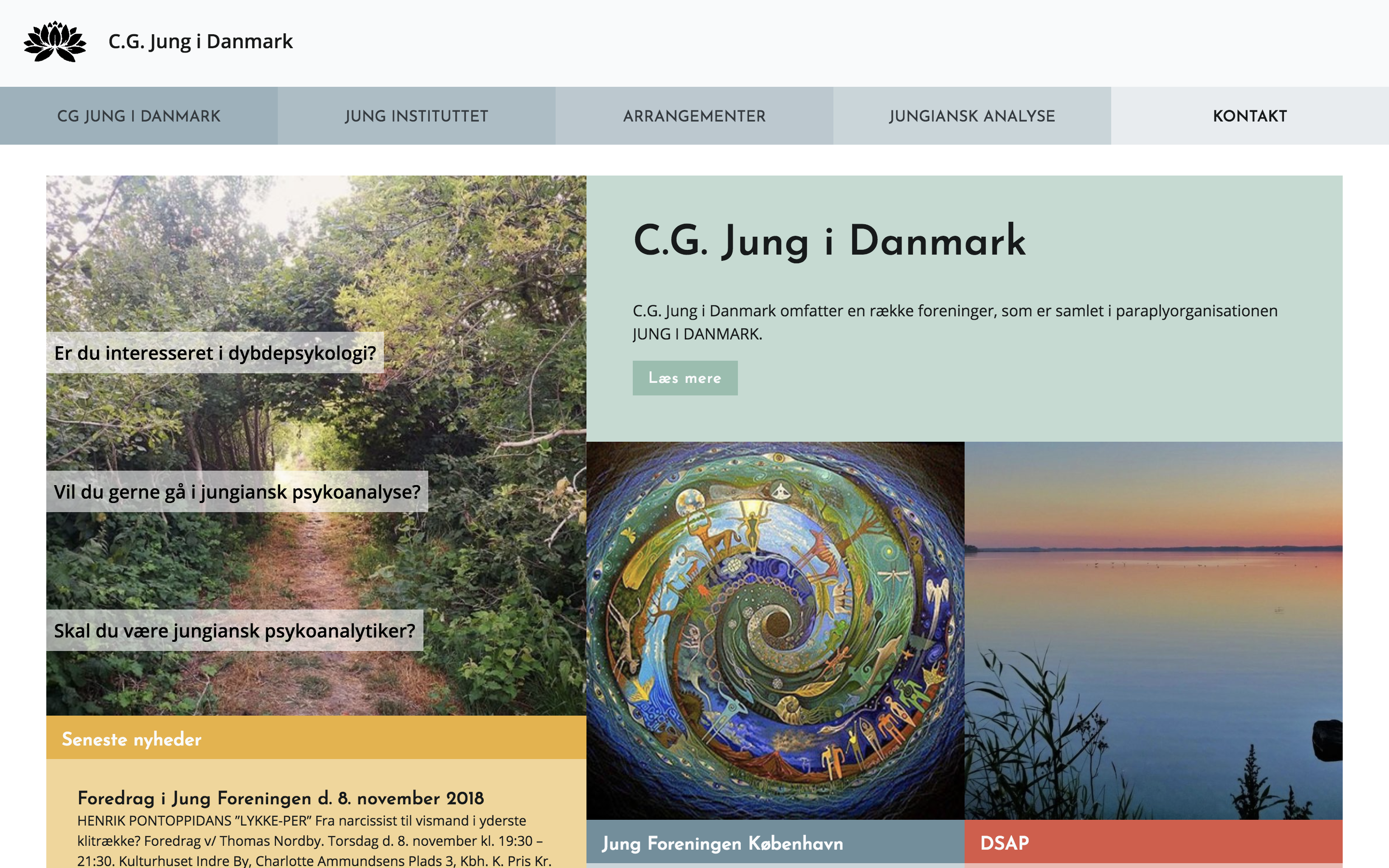 cg-jung.dk - desktop version